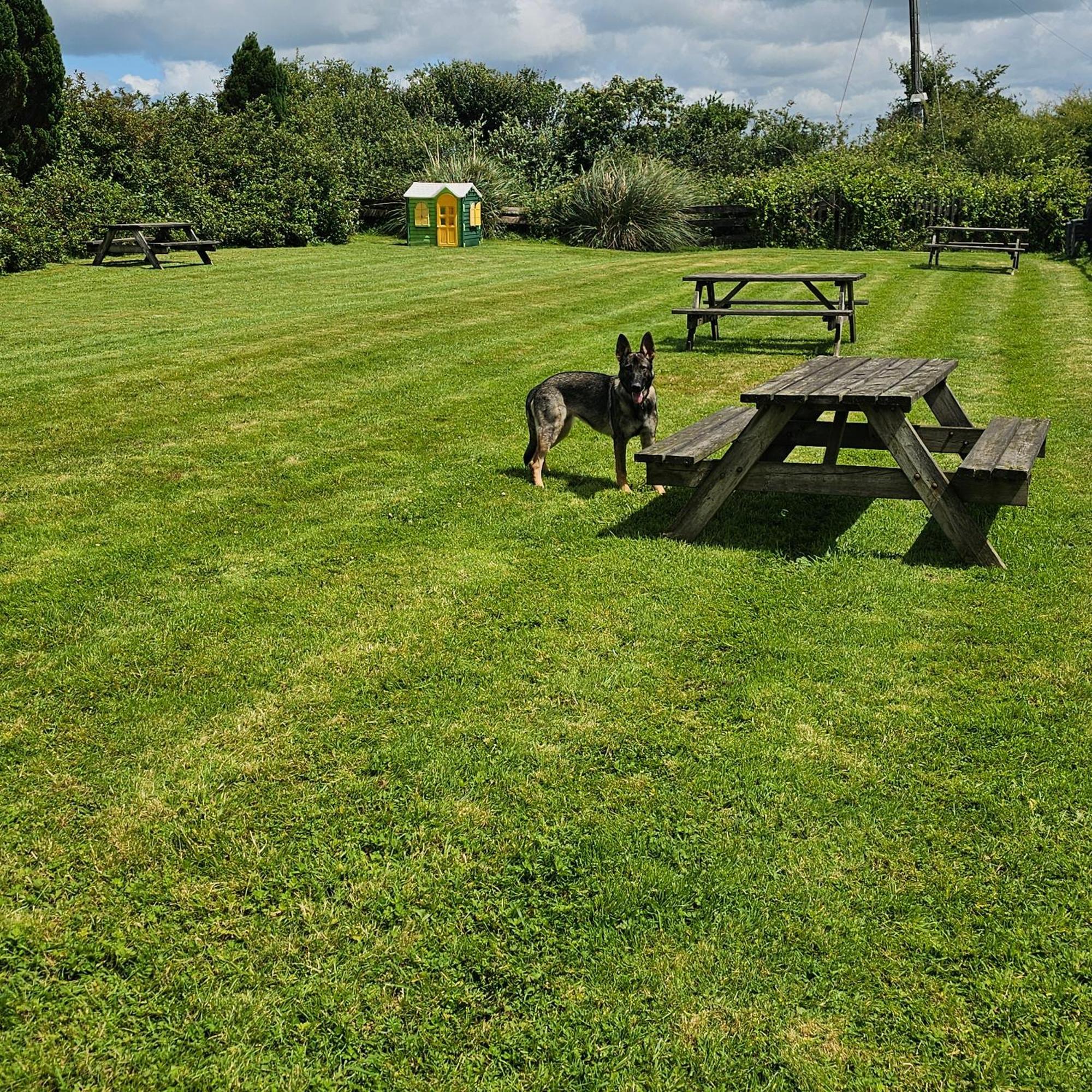 The West Country Inn كلوفيلي المظهر الخارجي الصورة